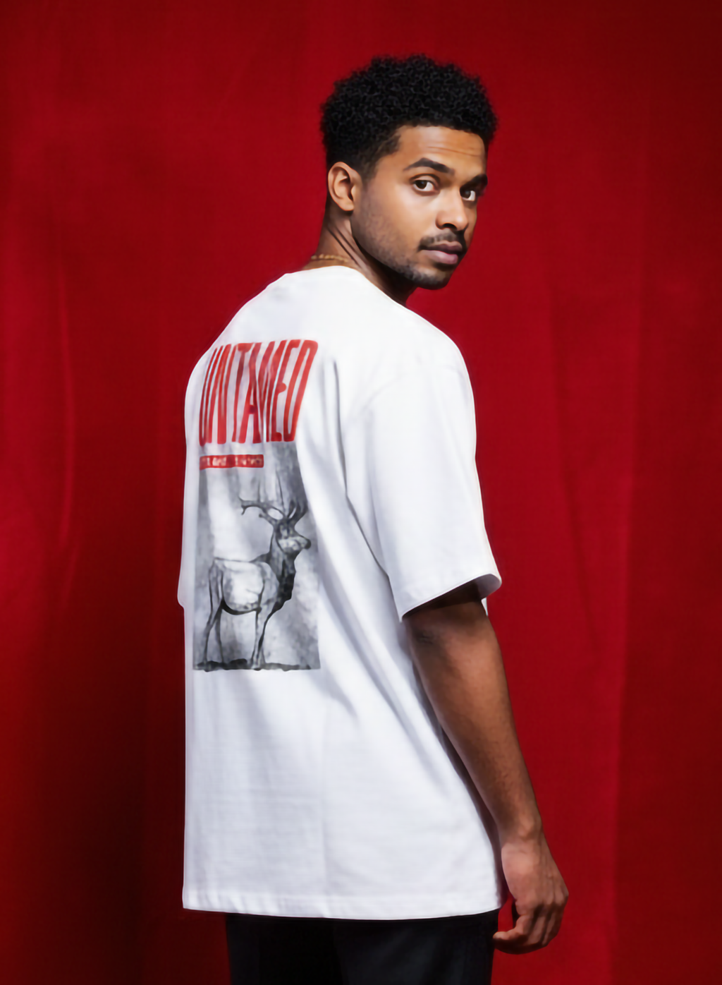 Antler Energy Unisex Oversized Standard T-Shirt