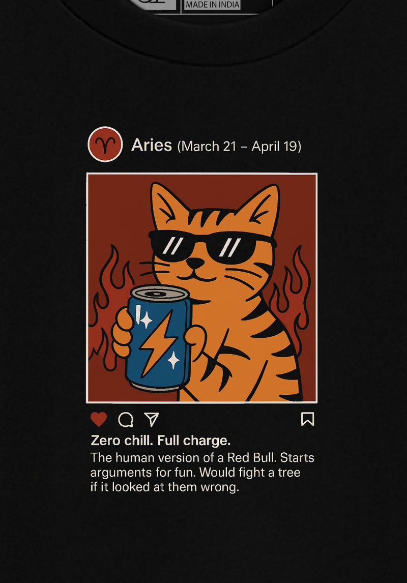 Aries Meme Oversized Unisex T-Shirt