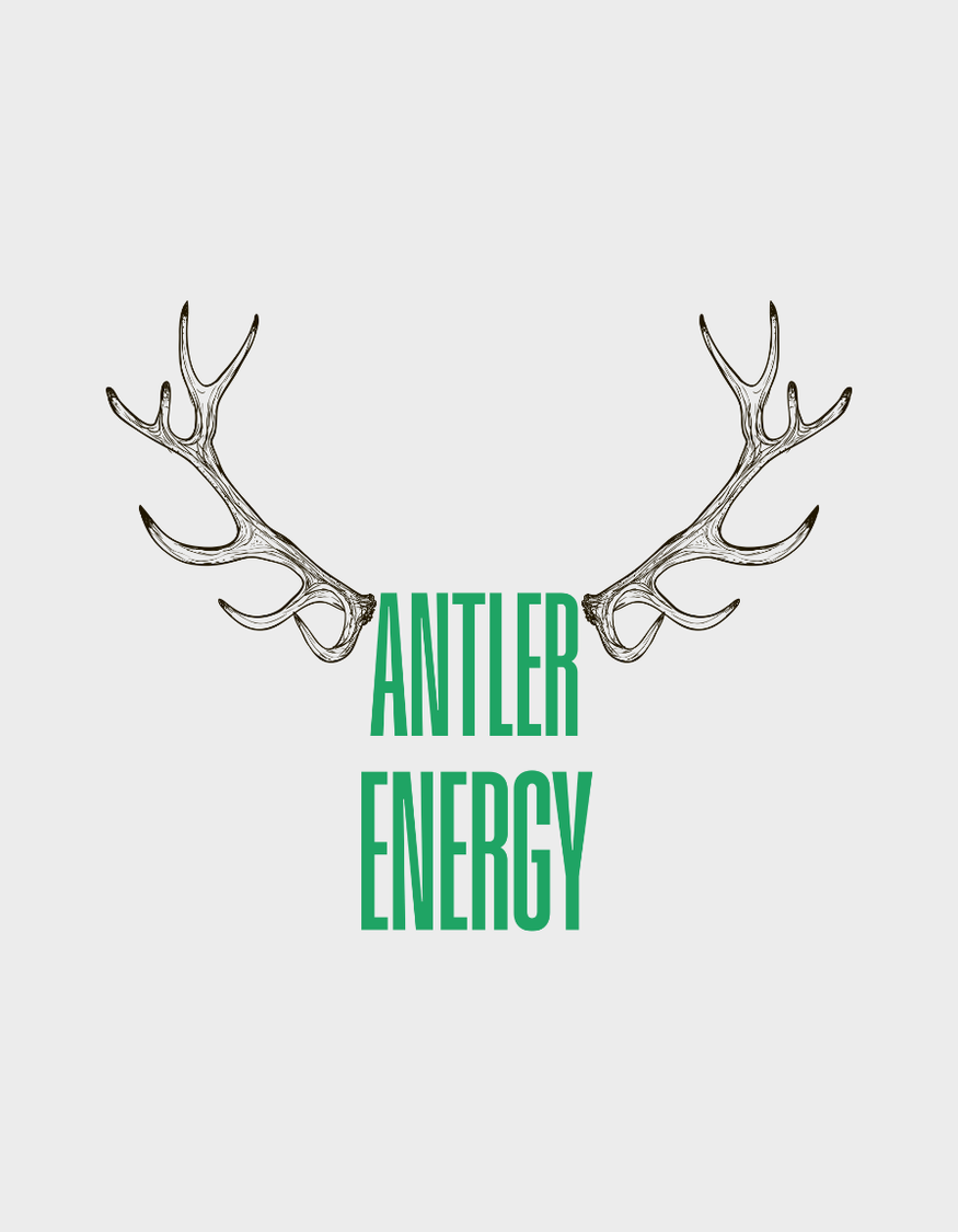 Antler Energy Unisex Brushed Fleece Hoodie artwork